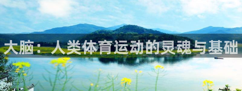 球客岛：大脑：人类体育运动的灵魂与基础