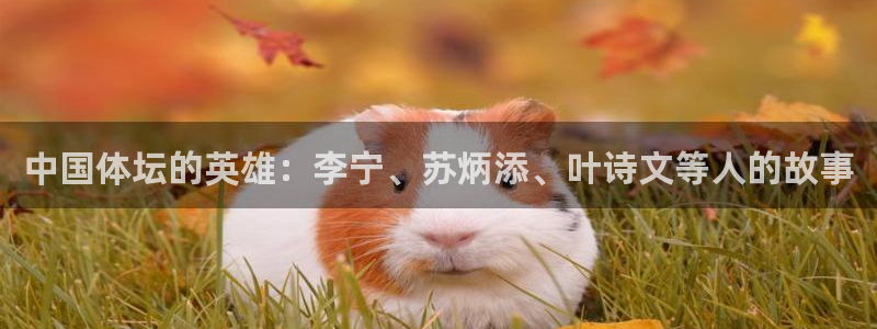 球客岛：中国体坛的英雄：李宁、苏炳添、叶诗文等人的故事