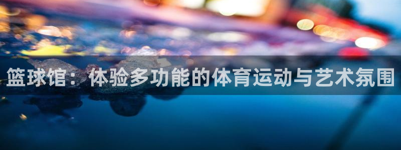 球客岛：篮球馆：体验多功能的体育运动与艺术氛围