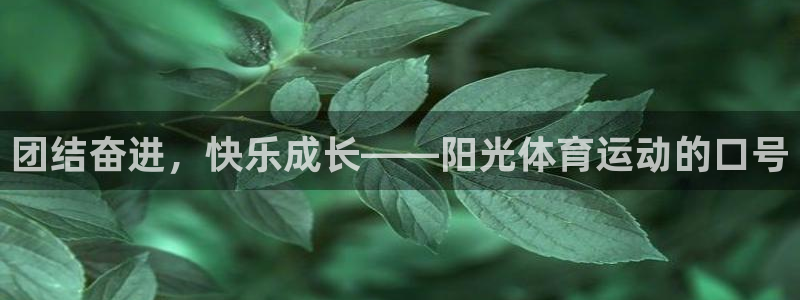 球客岛：团结奋进，快乐成长——阳光体育运动的口号
