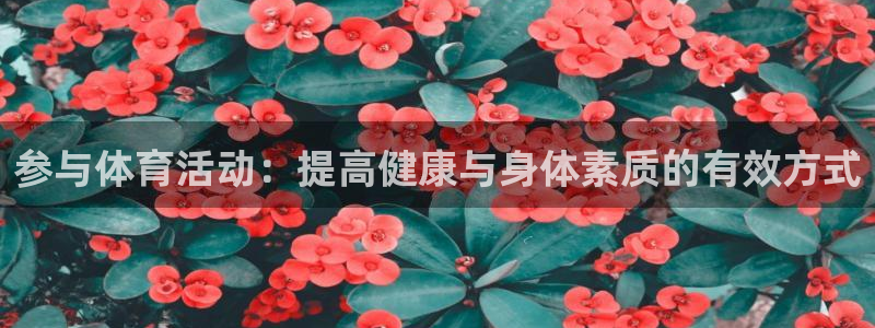球客岛：参与体育活动：提高健康与身体素质的有效方式