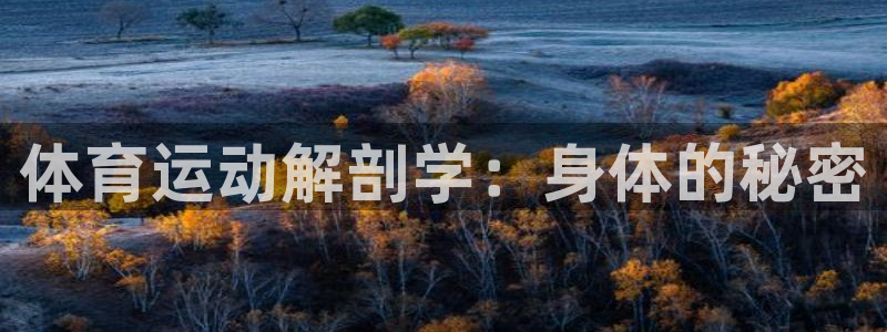 球客岛：体育运动解剖学：身体的秘密