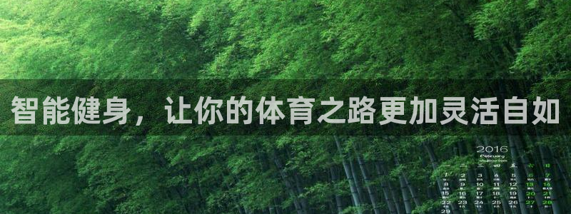 球客岛：智能健身，让你的体育之路更加灵活自如