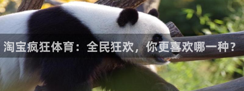 球客岛：淘宝疯狂体育：全民狂欢，你更喜欢哪一种？